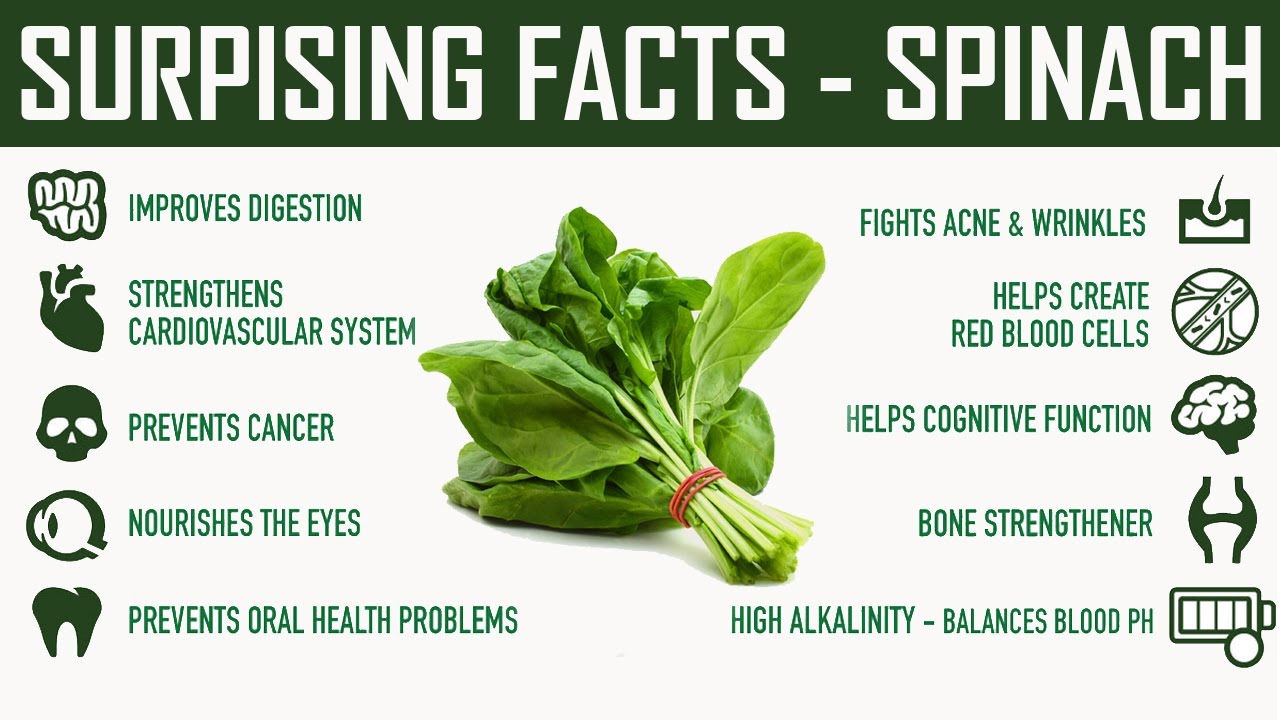 Interesting Facts Spinach Surprising Health Benefits of Eating