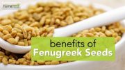 Fenugreek Seeds a.k.a Methi Benefits