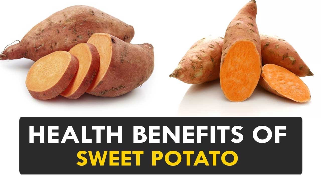 Health Benefits Of Sweet Potato Health Tips Health Sutra 6715