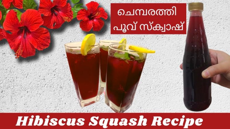Hibiscus Squash Recipe | Cool Drink Recipe