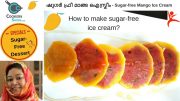 Sugar-Free Mango Ice Cream Recipe