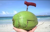 5 Best Coconut Opener – 1