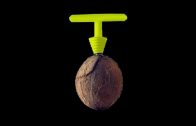 5 Best Coconut Opener – 2