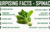 Interesting Facts – Spinach – Surprising Health Benefits of Eating Spinach