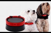 Top 5 Gadgets your Pet Must Have – 6