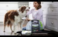Top 5 Gadgets your Pet Must Have – 9