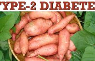 Type 2 Diabetes Control Naturally – Sweet Potatoes By Diabetic Cure