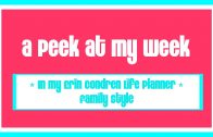 A Peek At My Week – In My Erin Condren Life Planner – Family Style