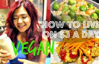 How To Live On $3 a Day – VEGAN EDITION – part – 1 – Cheap Lazy Vegan