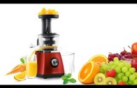 5 Best Juicers You May Buy Right Now #04