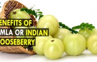 Benefits of Amla or Indian Gooseberry – Health Sutra – Best Health Tips