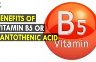 Benefits Of Vitamin B5 Or Pantothenic Acid – Health Sutra – Best Health Tips
