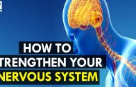 How to Strengthen Your Nervous System – Health Sutra