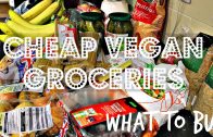 AFFORDABLE VEGAN GROCERIES – WHAT TO BUY + PRICES – Cheap Lazy Vegan