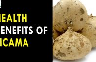 Health Benefits Of Jicama – Health Sutra – Best Health Tips