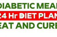 24 Hours Diet Plan For Diabetes