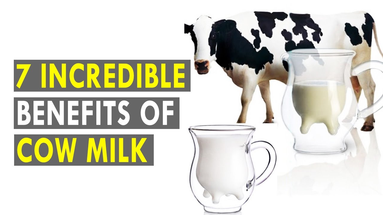 7 Incredible Benefits Of Cow Milk - Health Sutra - Best Health Tips ...