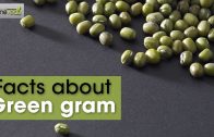 Benefits of Green Gram
