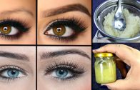DIY Miracle Serum To Grow Thicker Eyebrows & Eyelashes In 3 Days – Grow Eyebrows Fast