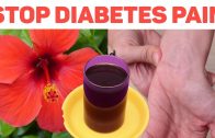 Natural herbs to cure Diabetes ailment – Hibiscus Cinnamon Water