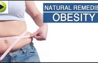 Obesity – Natural Ayurvedic Home Remedies
