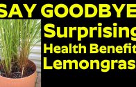 Say Goodbye To Doctor – Surprising Health Benefits of Lemongrass