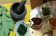 This Leaves Cure Diabetes Naturally – 100% Work