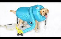 15 INSANE Pet Gadgets You Must Have For Safety