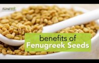Fenugreek Seeds a.k.a Methi Benefits