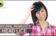 Hair Care – Head Lice – Natural Ayurvedic Home Remedies