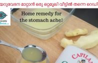 Ginger Honey Cure for stomach ache – How to cure stomach ache – Cookertshow