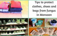 Tips to protect clothes – shoes and bags from fungus in Monsoon