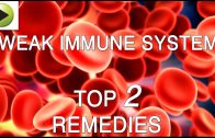 Weak Immune System – Immune System Disorder – Natural Ayurvedic Home Remedies
