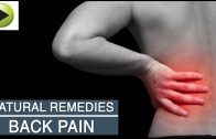 Aches & Pains – Back Pain – Natural Ayurvedic Home Remedies