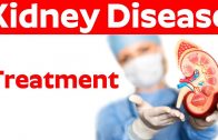 How to Treat Kidney Disease – Keep Healthy Your Kidney