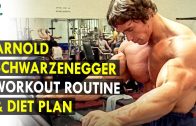 Arnold Schwarzenegger Workout Routine &amp – Diet Plan – Health Sutra – Best Health Tips