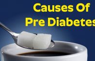 Does Sugar Cause Diabetes ?