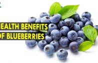 Health Benefits of Blueberries – Health Sutra – Best Health Tips