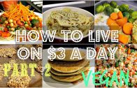How To Live On $3 a Day – VEGAN EDITION – 2 – Days 2+3 – Cheap Lazy Vegan