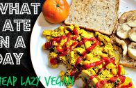 WHAT I ATE IN A DAY – 15 – VEGAN – CHEAP – EASY – Cheap Lazy Vegan
