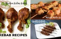 Kebab Recipes – Chicken Kalmi Kebab – Murgh Malai kebab – Seekh Kebab