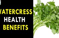 Watercress Health Benefits – Health Sutra – Best Health Tips