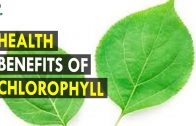 Health Benefits Of Chlorophyll – Health Sutra – Best Health Tips