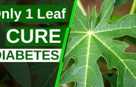 Only 1 Leaf To Cure Diabetes Permanently – Say Goodbye To Diabetes – Health Tips