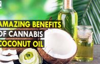 Amazing Benefits Of Cannabis Coconut Oil – Health Sutra – Best Health Tips