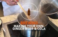 Brewing skills – ginger beer and cola – UFS Academy Culinary Training App