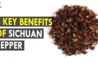 6 Key Benefits Of Sichuan Pepper – Health Sutra – Best Health Tips