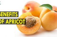 Benefits Of Apricot – Health Sutra – Best Health Tips