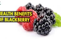 Health Benefits Of Blackberry || Health Sutra – Best Health Tips