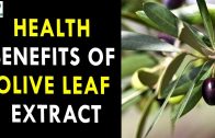 Health Benefits Of Olive Leaf Extract – Health Sutra – Best Health Tips